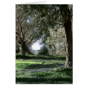 Tarjeta Olive Grove