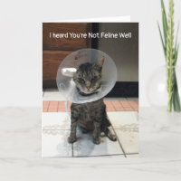 Oliver no está bien - Cat Get Well Card
