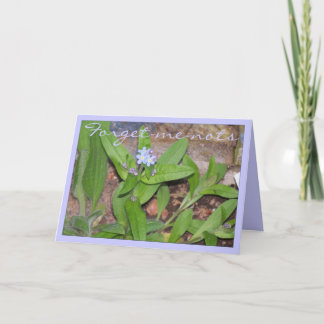 TARJETA OLVIDAR-ME-NOTS