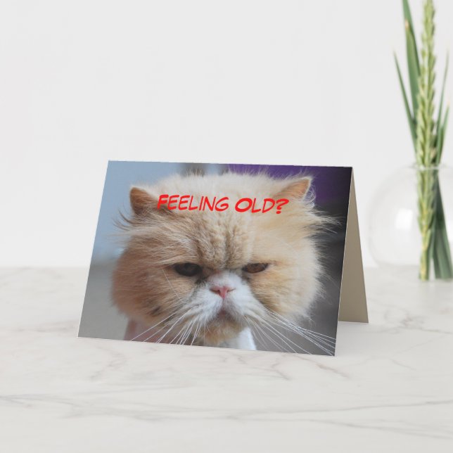 Tarjeta Olvídate de ello Humor de Gato Persa (Anverso)