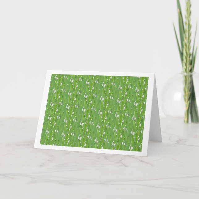 Tarjeta Olvídate de las nociones (Anverso)