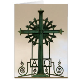 Tarjeta Omega Alfa IHS