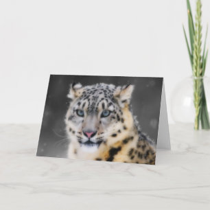 Tarjeta Onza