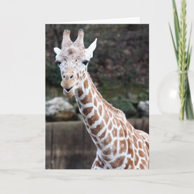 Tarjeta ¡Oooh, alguien que consigue más viejo! (Anverso)