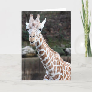 Tarjeta ¡Oooh, alguien que consigue más viejo!