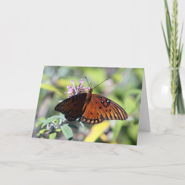 Tarjeta Opción de las mamáes, hola (Anverso)