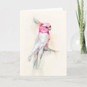 Tarjeta Ópera Cockatoo