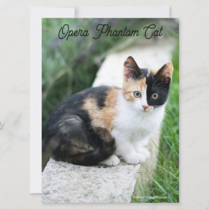 Tarjeta Opera Gato fantasma