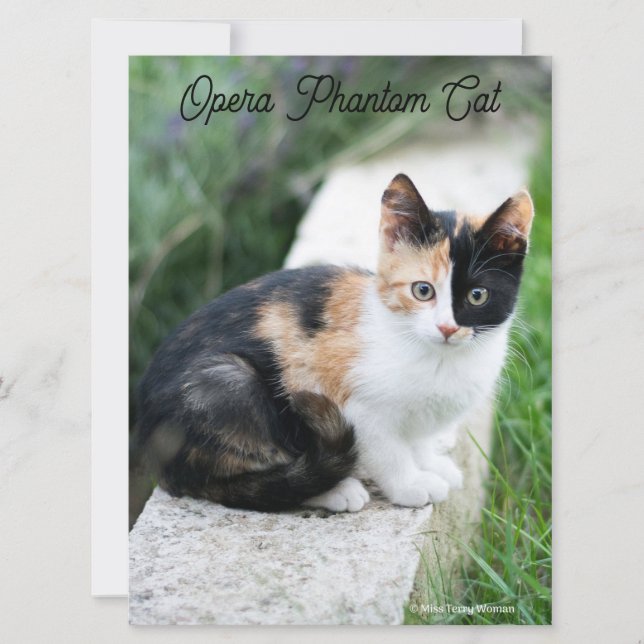 Tarjeta Opera Gato fantasma (Anverso)