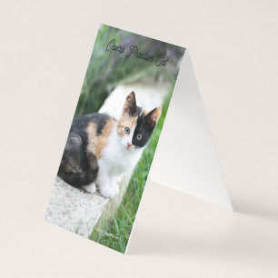 Tarjeta Opera Gato fantasma