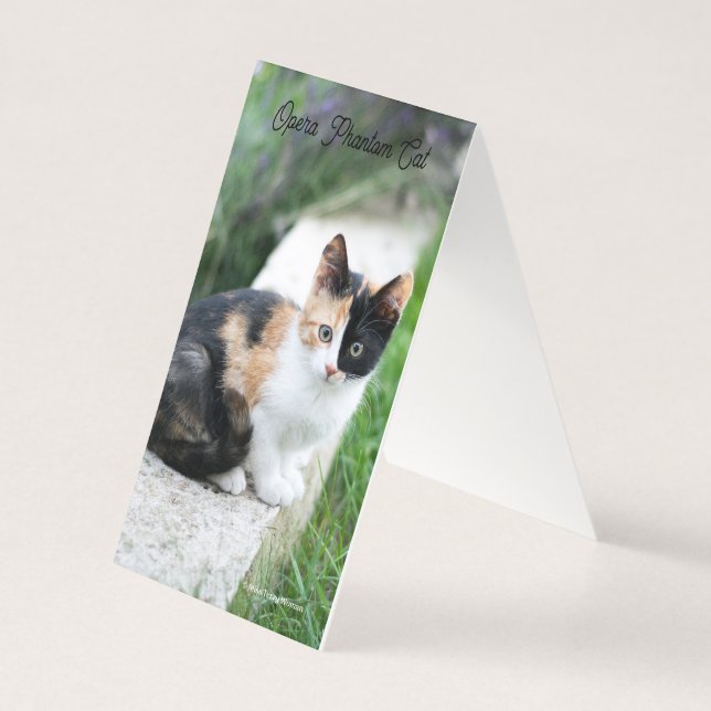 Tarjeta Opera Gato fantasma (Reverso)