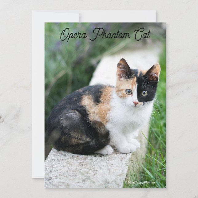 Tarjeta Opera Gato fantasma (Anverso)