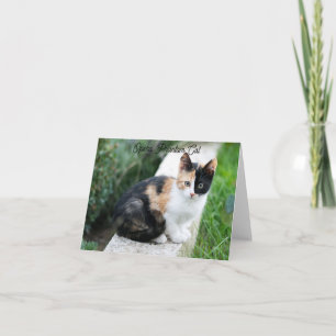 Tarjeta Opera Gato fantasma