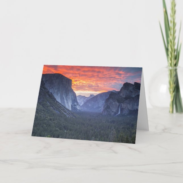 Tarjeta Opinión del túnel de Yosemite (Anverso)