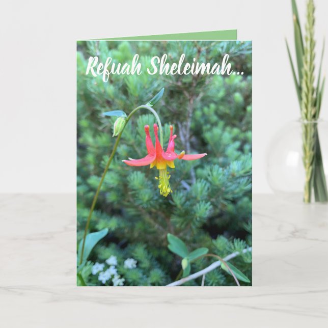 Tarjeta Oración curativa, Refuah Sheleimah (Anverso)