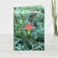 Oración curativa, Refuah Sheleimah