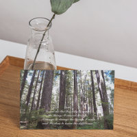 Oración de Serenidad Fotografía del bosque ilumina