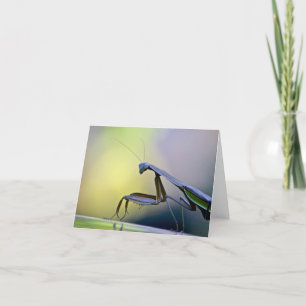 Tarjeta Orando Mantis Notecard