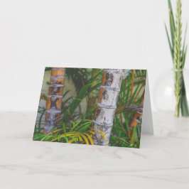 Tarjeta Orange Bamboo