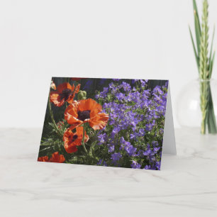 Tarjeta Orange Poppy Blank All Occasion Poppies Greeting 