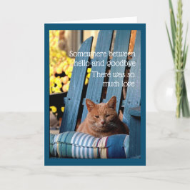 Tarjeta Orange Tabby Cat on Blue Chair  Card