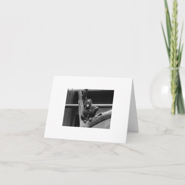 Tarjeta orangután (Anverso)