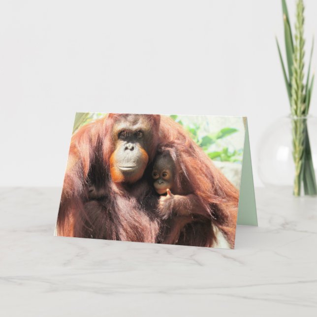Tarjeta Orangutan aumenta la carta del día de la madre (Anverso)