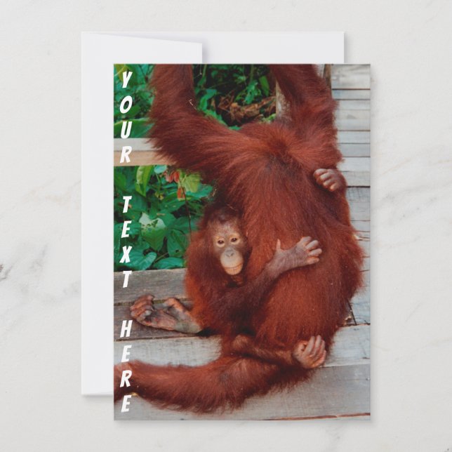 Tarjeta orangután de Borneo personalizable (Anverso)