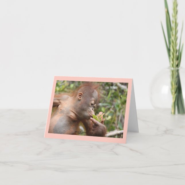 Tarjeta Orangután Infantil Con Flor Tropical (Anverso)