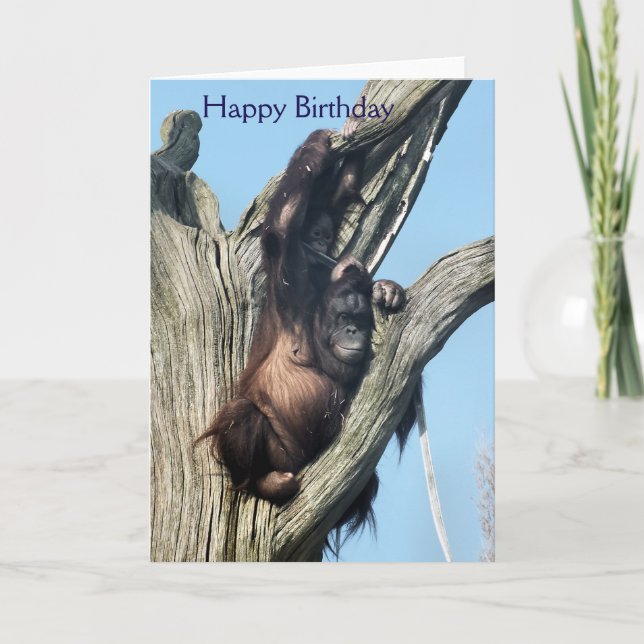 TARJETA ORANGUTANOS (Anverso)