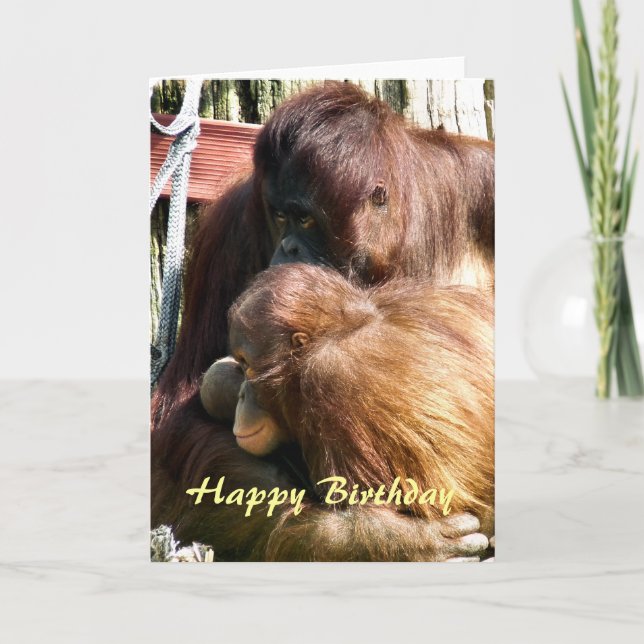 TARJETA ORANGUTANOS (Anverso)