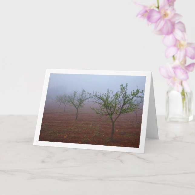 Tarjeta Orchard de árbol de almendros en la mañana de nieb (Orquídea)