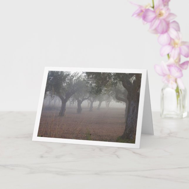 Tarjeta Orchard de olivo en una mañana de niebla (Orquídea)