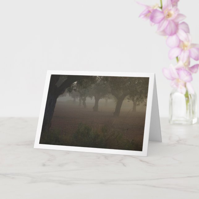 Tarjeta Orchard de olivo en una mañana de niebla (Orquídea)