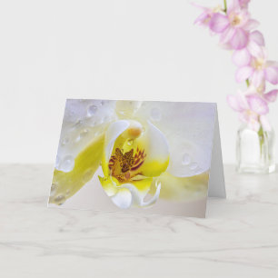 Tarjeta Orchid Dew