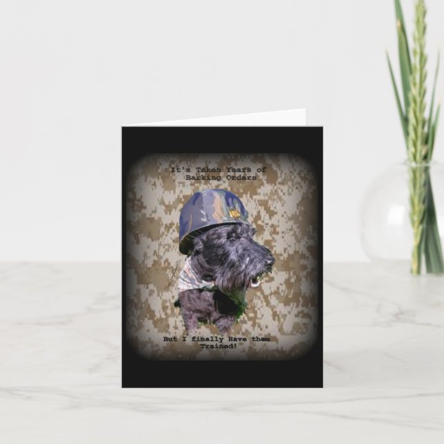 Tarjeta Órdenes de Barrido (Anverso)