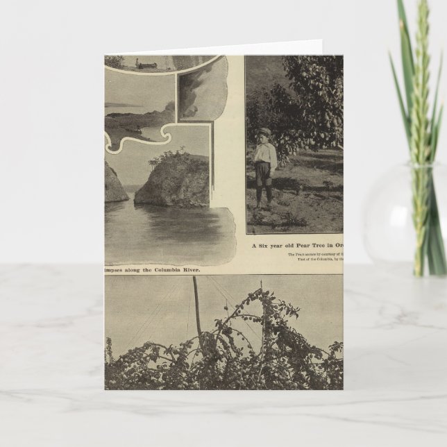 Tarjeta Oregón, donde todo posible cliente lo desee (Anverso)