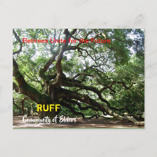 tarjeta organizativa RUFF (Anverso)