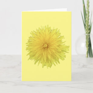Tarjeta Orgullosa flor de Dandelion - transparente.