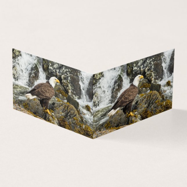 Tarjeta Orgulloso Bald Eagle (Exterior)