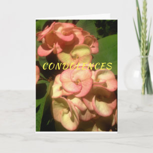 Tarjeta Original photo and drawing on Sympathy Card