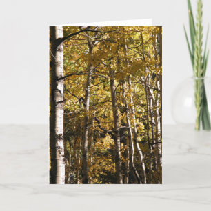 Tarjeta Oro de Aspen