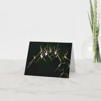 Tarjeta Orquídea