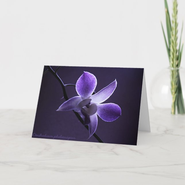 Tarjeta Orquídea azul (Anverso)