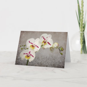 Tarjeta Orquídea blanca