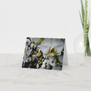 Tarjeta Orquídea blanca Notecard del Phalaenopsis