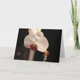 Tarjeta Orquídea blanca y rosa "¡Feliz cumpleaños!" Saludo