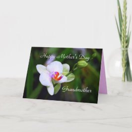 Tarjeta Orquídea de Falenopsis Feliz Día de la Madre