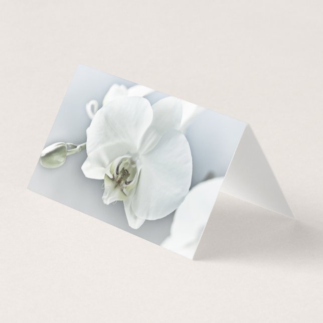 Tarjeta Orquídea de faleonopsis blanca (Anverso)
