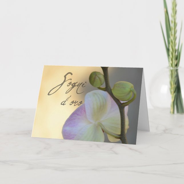 Tarjeta Orquídea de Sogni d'oro (sueños dulces) (Anverso)